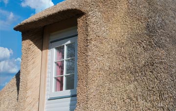 Green Close thatch roof disadvantages