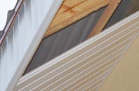 rated Green Close soffit repair companies